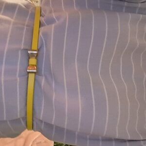 Greenish-yellow Bow Belt
